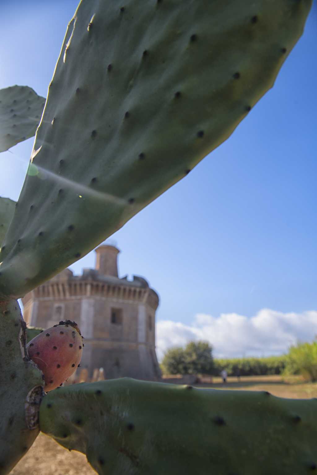 Terra Roma Retake a Tor San Michele